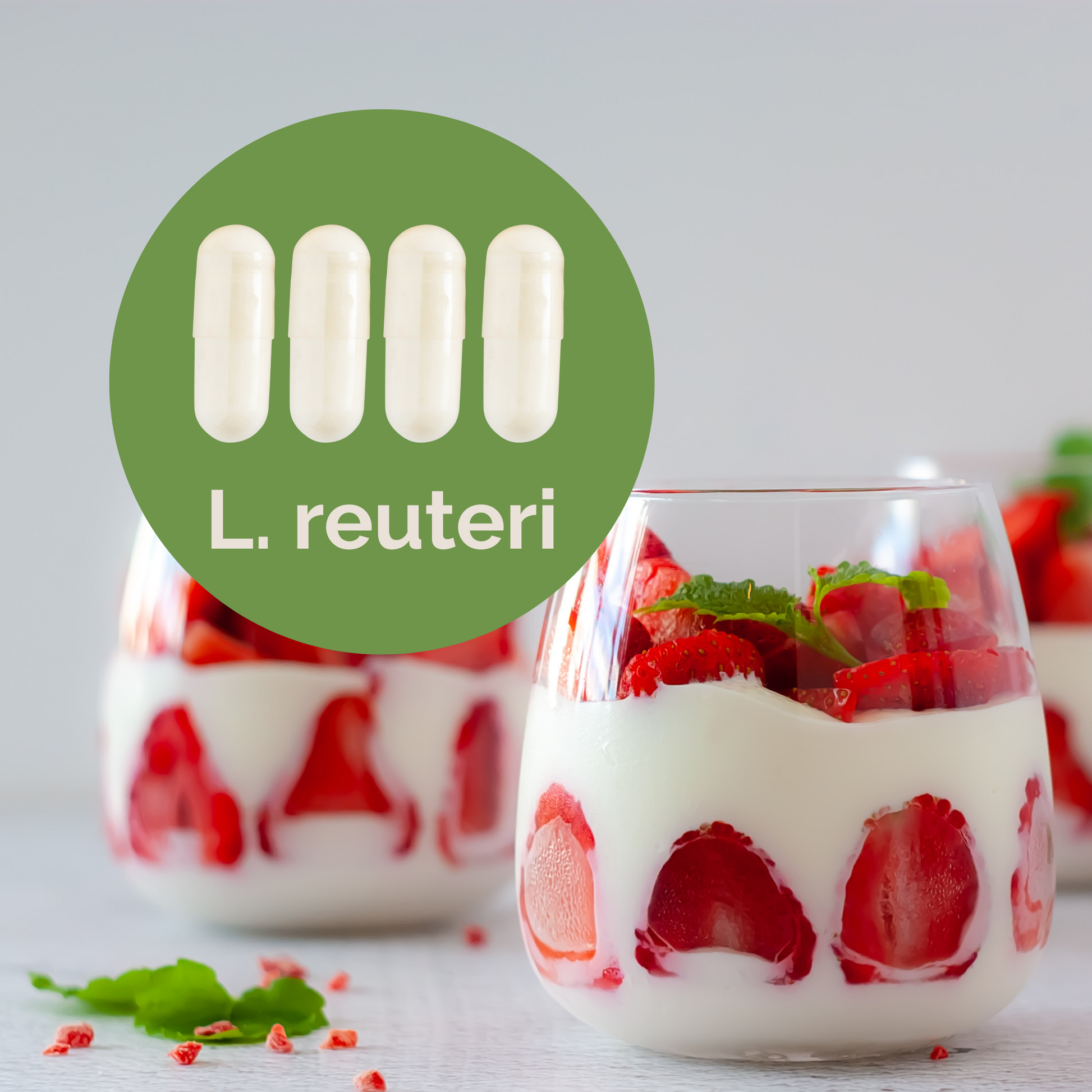 L. reuteri | Yogurt Starter Set | Starter Cultures | 3-Pack